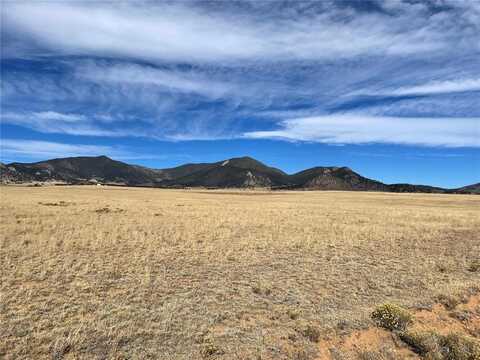 294 RIO BLANCO ROAD, Hartsel, CO 80449