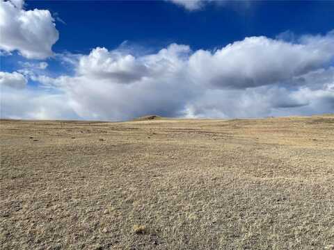305 BADGER LANE, Hartsel, CO 80449