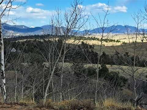 908 RAVEN WAY, Como, CO 80432