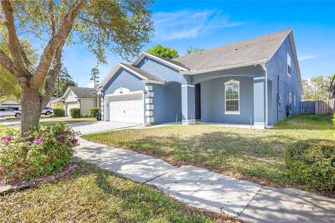 54Th, GAINESVILLE, FL 32653