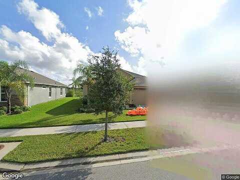 Palmera Vista, RIVERVIEW, FL 33579