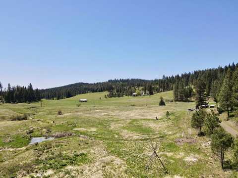 1366 Glenwood Road, Kamiah, ID 83536