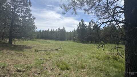 Tbd Parcel 14 Bandmill Heights, Orofino, ID 83554