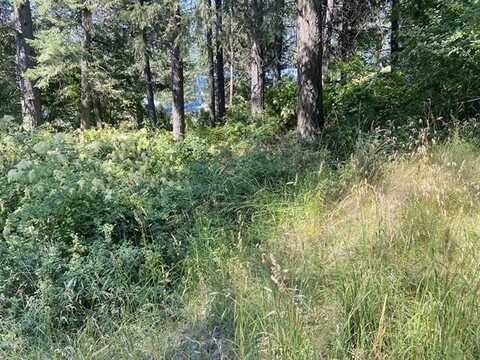 4619 Terrace Rd, Loon Lake, WA 99148