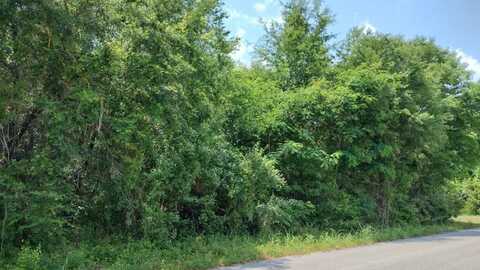 1373 Meagan Lane, Manning, SC 29102