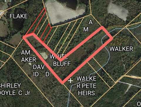 Pandanus Road, Orangeburg, SC 29115