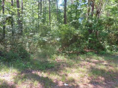 0 Garvey Rd., Summerton, SC 29148