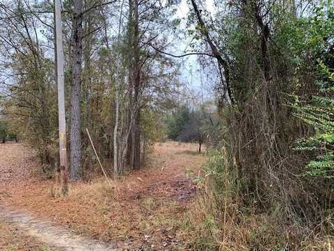 1060 Hideout Drive, Manning, SC 29102
