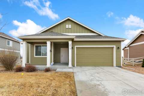 3813 Ginkgo St, Wellington, CO 80549
