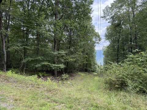 0 Cherry Run Road, Bedford, PA 15522