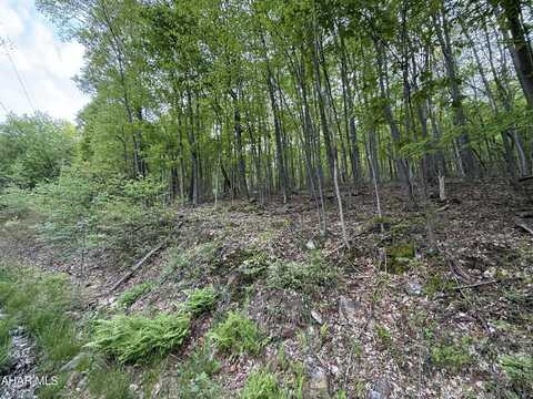 0 Cherry Run Road, Bedford, PA 15522