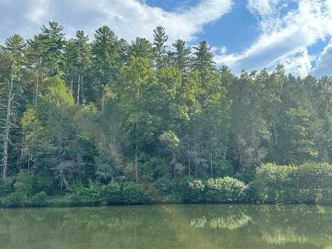 Walker Ridge Way, Mineral Bluff, GA 30559