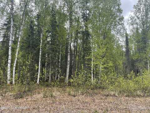 14968 Gyrfalcon Drive, Willow, AK 99688