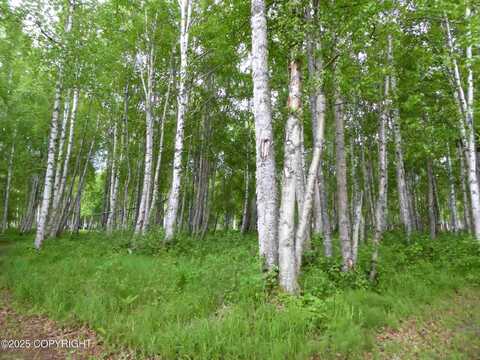 D006 No Road Trail, Talkeetna, AK 99676