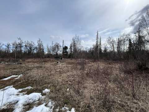 L1 & L6 Trapline, Trapper Creek, AK 99683