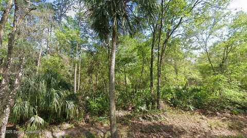 0 Quail Ranch Road, New Smyrna, FL 32168