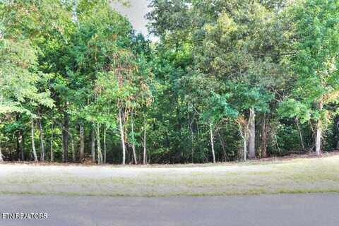 204,206208 Majestic View Drive, Rockwood, TN 37854