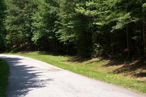 Lot 4 Buckhead Drive, Bracey, VA 23919