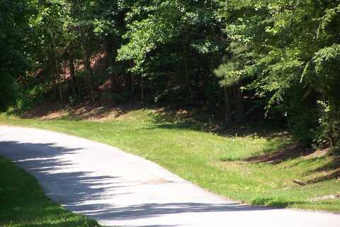 Lot 3 Buckhead Drive, Bracey, VA 23919
