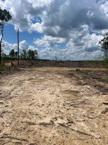 Germantown Road, Keysville, VA 23947