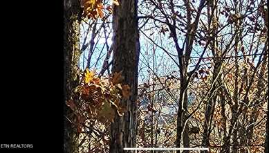 419 Mountain View Drive, Vonore, TN 37885