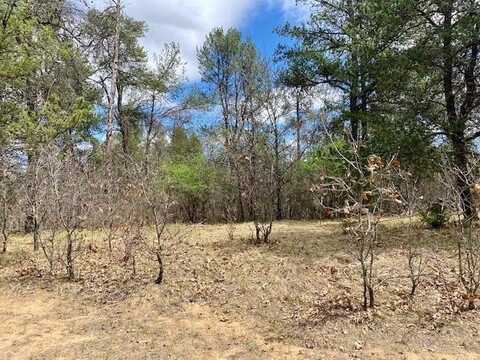 Lot 1 Ridgewood, Friendship, WI 53934