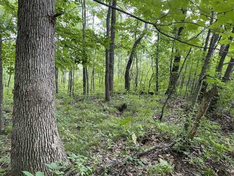 Lot 1029 Blue Ridge Drive, La Valle, WI 53941