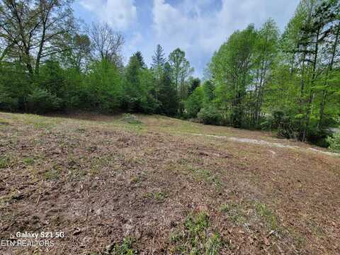 0 Big Springs Rd, Oneida, TN 37841