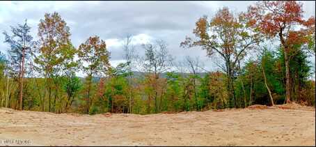 1200 Steer Creek Rd, Tellico Plains, TN 37385