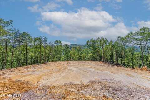 1200 Steer Creek Rd, Tellico Plains, TN 37385