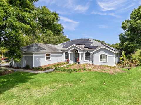 Saddleback, LADY LAKE, FL 32159