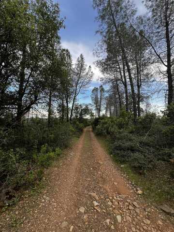 60-acres Donkey Mine Road, Oak Run, CA 96069
