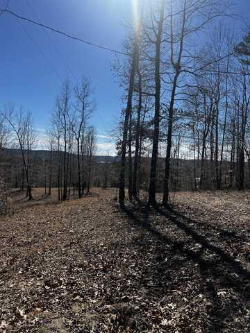 1945 Co Rd 84, Russellville, AL 35654