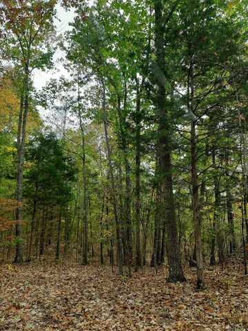 300 Co Rd 191, Waterloo, AL 35677