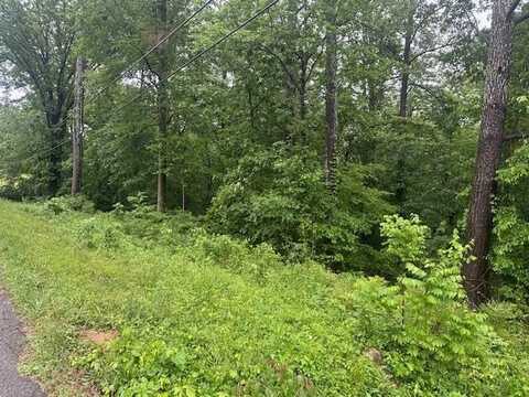 00 Scenic Dr, Russellville, AL 35653