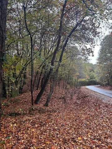 0 Co Rd 126, Waterloo, AL 35677
