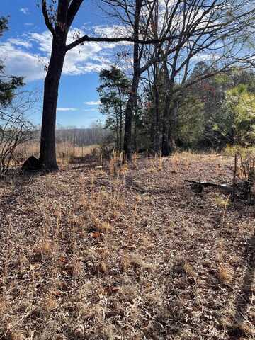 3765 Dinky Line Rd, Detroit, AL 35552
