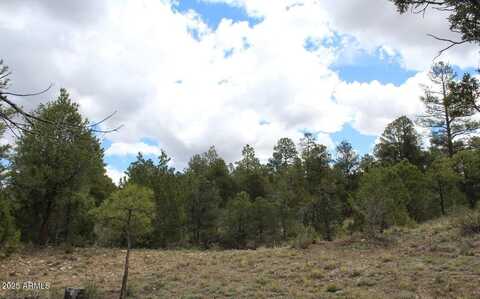 3339 Sawmill Ridge Loop --, Heber, AZ 85928