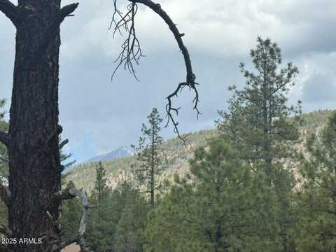 Lot 2 N Quintana Drive, Flagstaff, AZ 86001