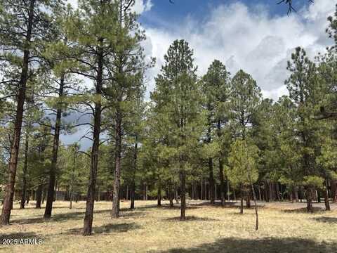 Lot 1 Hattie Greene --, Flagstaff, AZ 86001