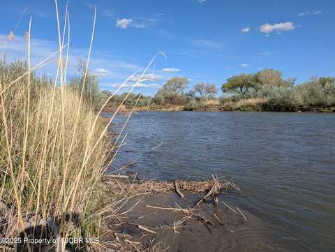 509 RIVER RANCH Road, Farmington, NM 87401