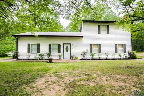11465 FM 2879, Diana, TX 75640