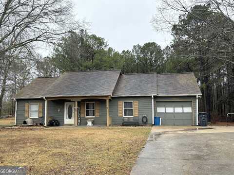Ringer, HOGANSVILLE, GA 30230