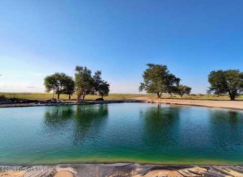 0 County Road 2053, O'Donnell, TX 79351