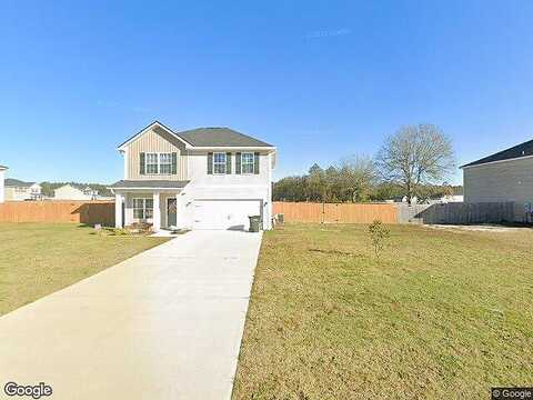 Summerhill, LUDOWICI, GA 31316