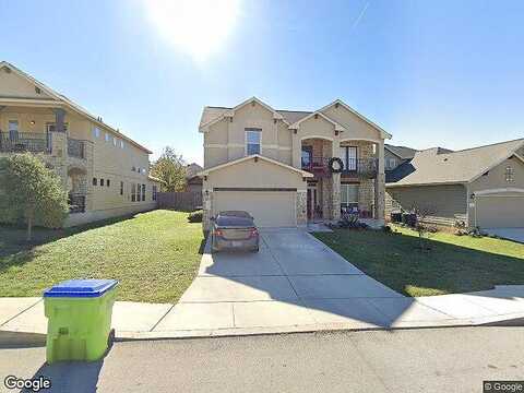 Gazelle, SAN ANTONIO, TX 78245