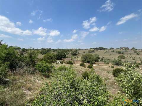 Lot 63 Summit Ledge Drive, Johnson City, TX 78636