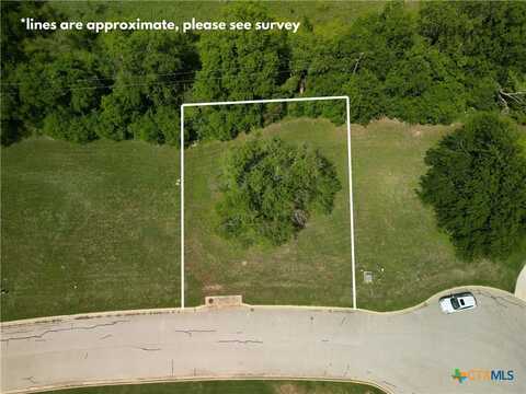 1916 Friars Grove Drive, Temple, TX 76502