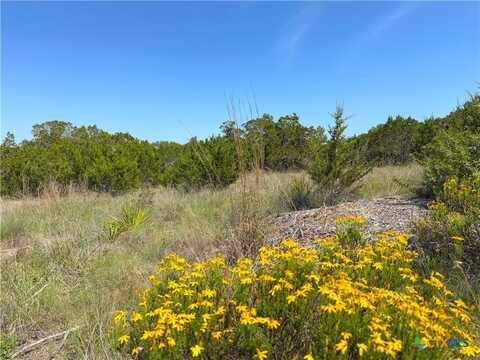 0 Tbd San Salvadore, Canyon Lake, TX 78133