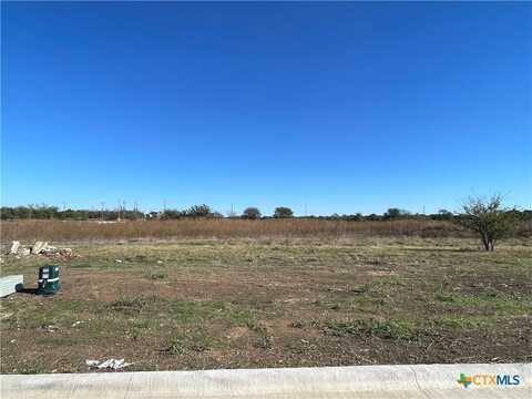 2014 Botts Drive, Salado, TX 76571